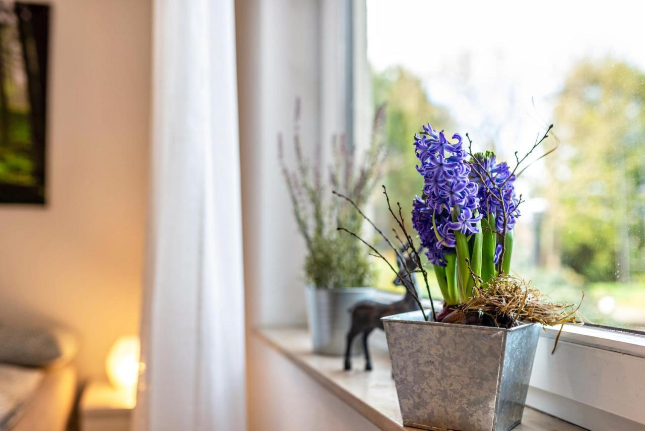 Waechtersberg Apartman Wildberg  Kültér fotó